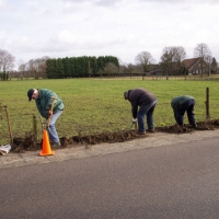 Anpflanzung-Hecken-4