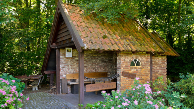 backhaus2