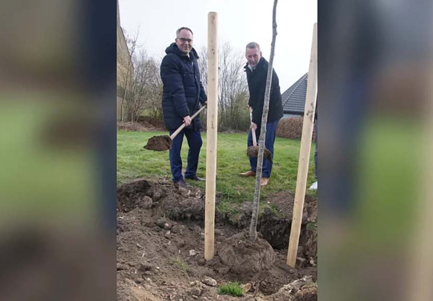 Burgemeester Thomas Kerkhoff (links, Stadt Bocholt) met burgemeester Anton Stapelkamp (gemeente Aalten) planten samen de laatste zilverlinde. Foto: Frank Vinkenvleugel