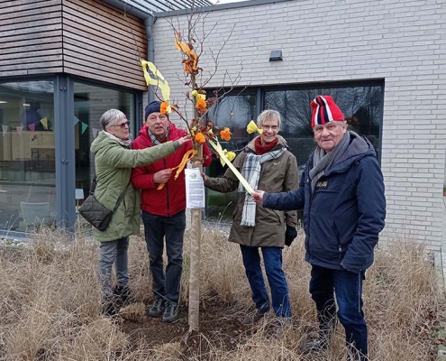 Die Buche steht an Ort und Stelle_ Foto Heimatverein Suderwick