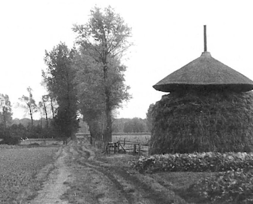 So sah der ursprüngliche Strohbarg um 1950 aus (Foto Archiv Heimatverein Suderwick)