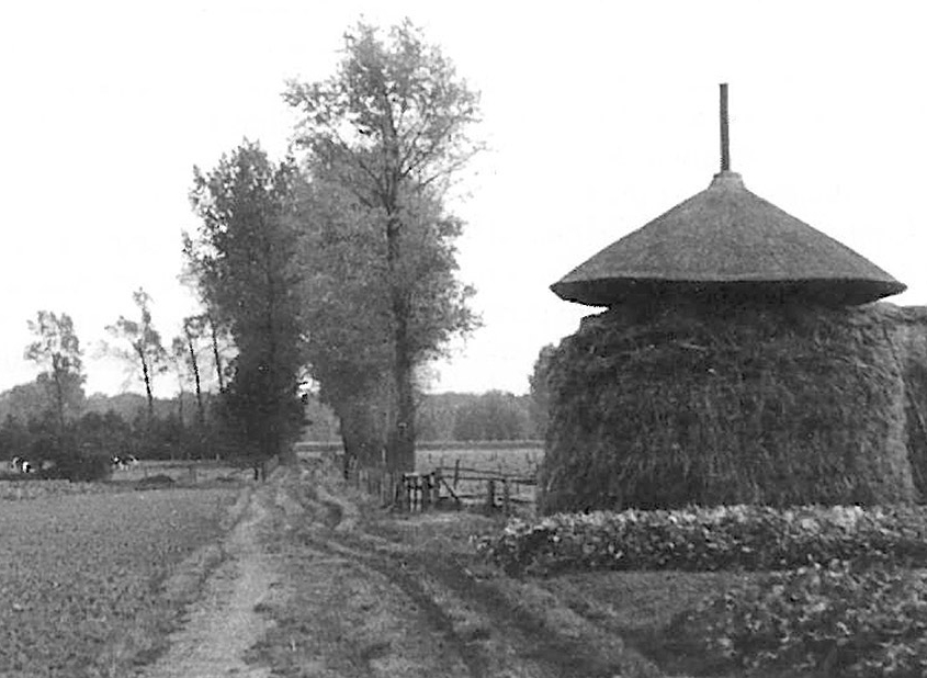 So sah der ursprüngliche Strohbarg um 1950 aus (Foto Archiv Heimatverein Suderwick)